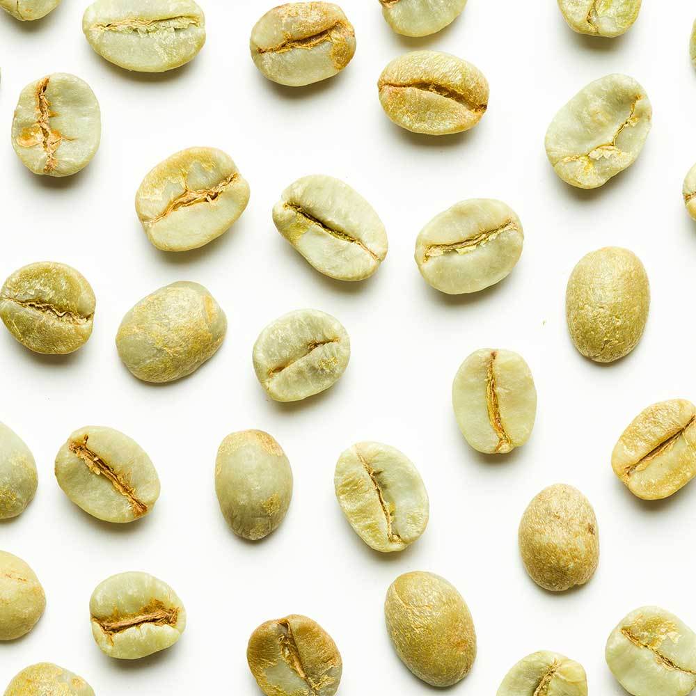 Green Coffee - Brazil No.18 Coffee Beans