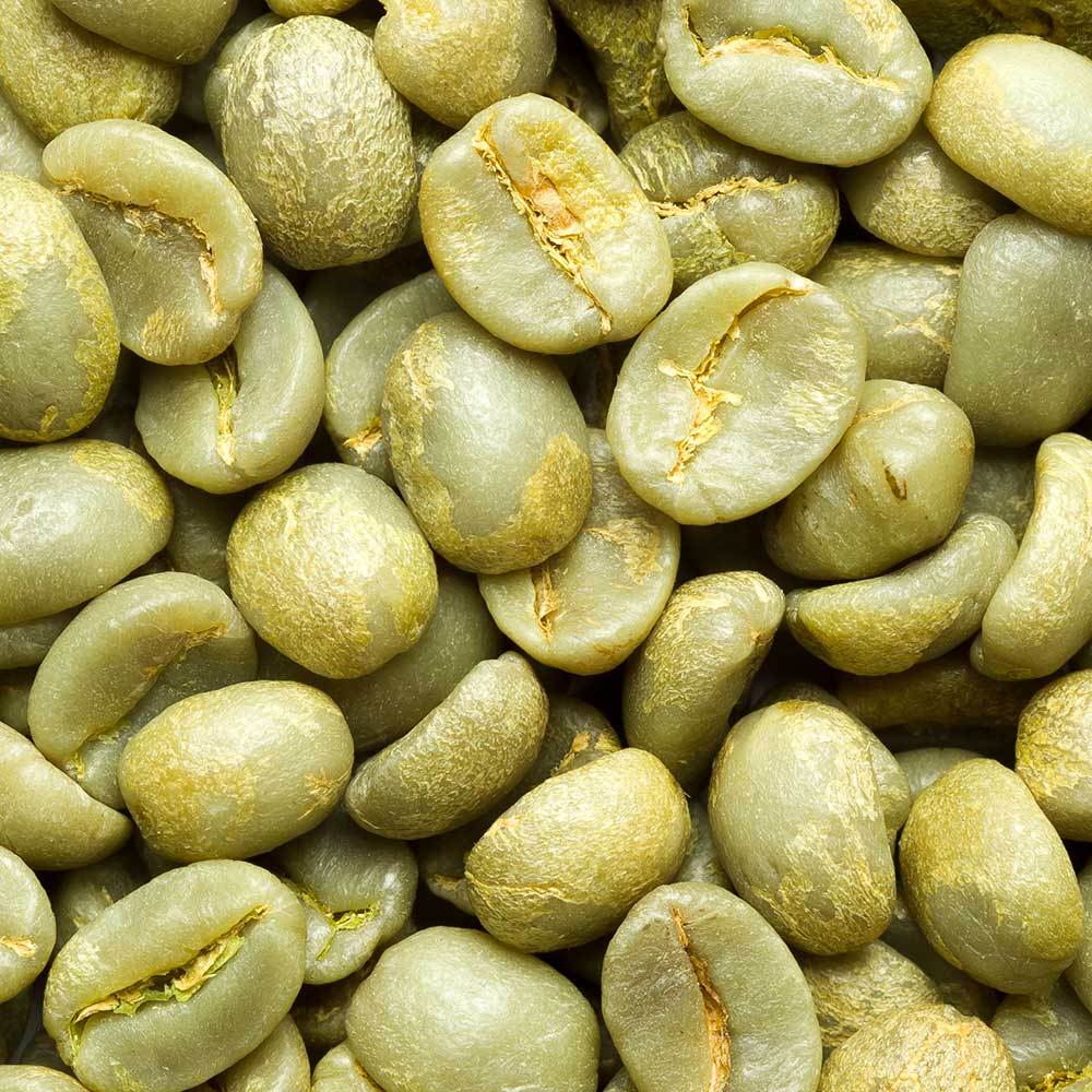 Green Coffee - Costa Rica Tarrazu Coffee Beans