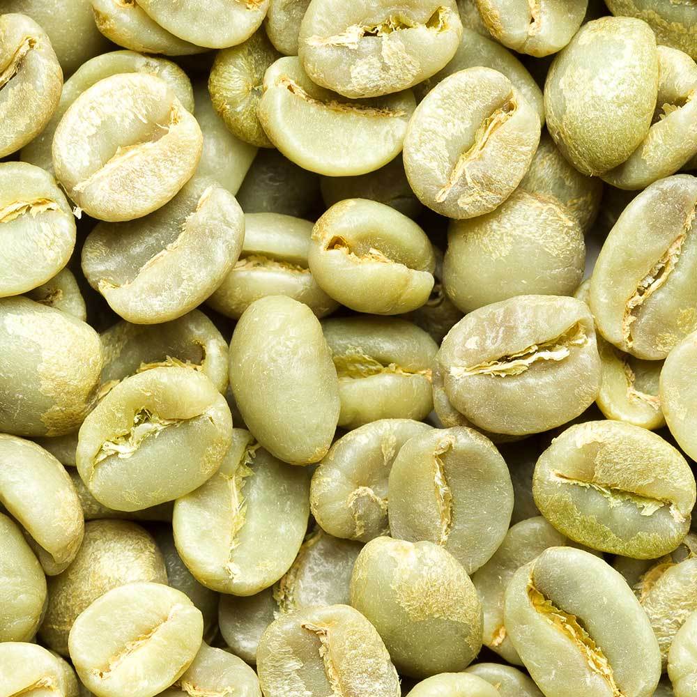Green Coffee - Guatemala Antigua Coffee Beans