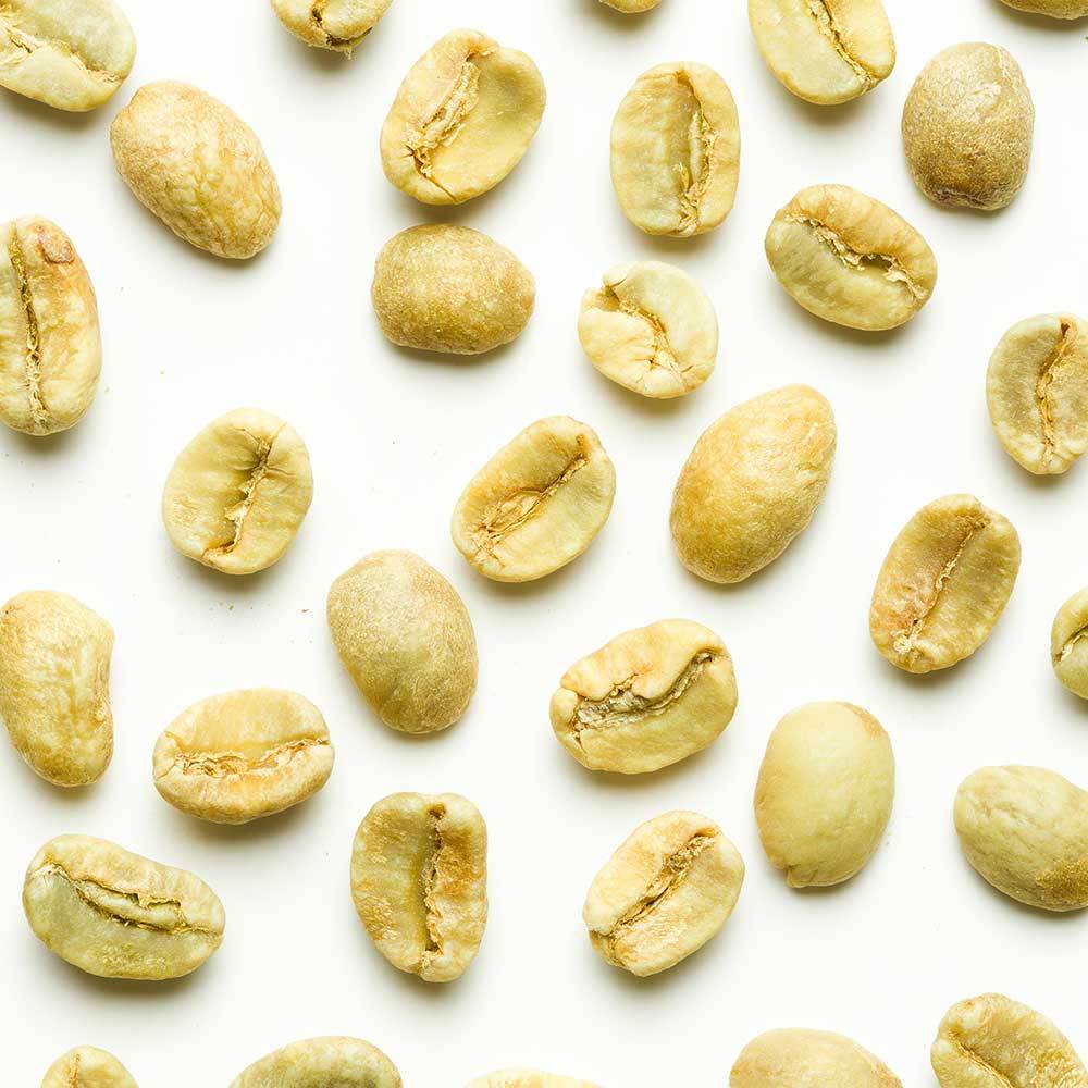Green Coffee - Kenya Fancy Mark Coffee Beans