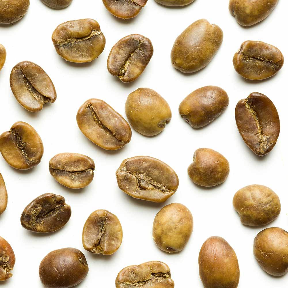 Green Coffee - MC Decaf Coffee Beans