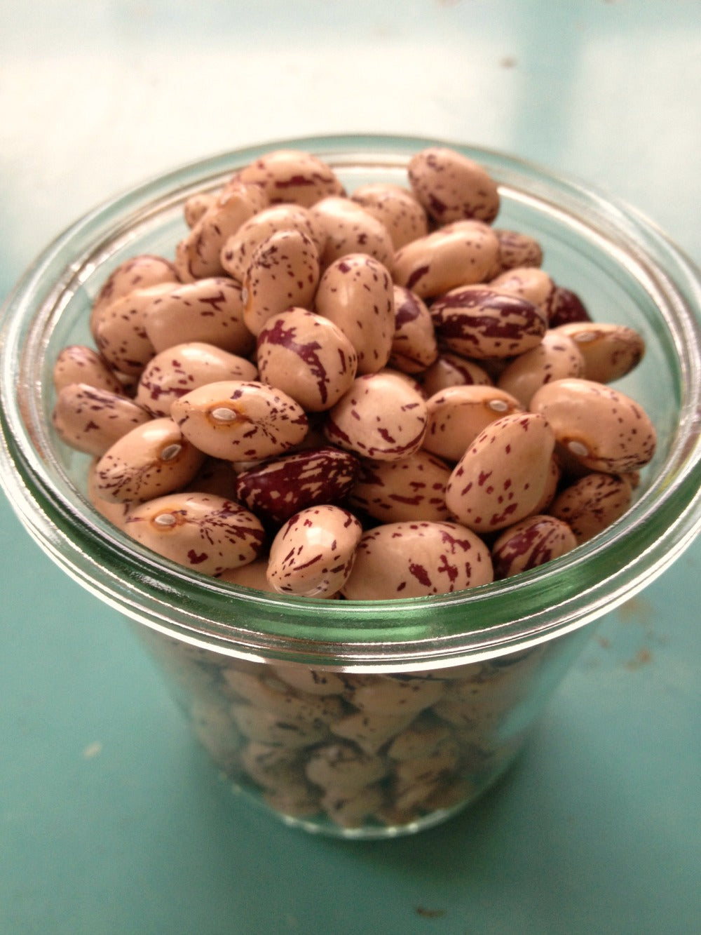 Bean, Pole Dry, 'Borlotto Gaston'